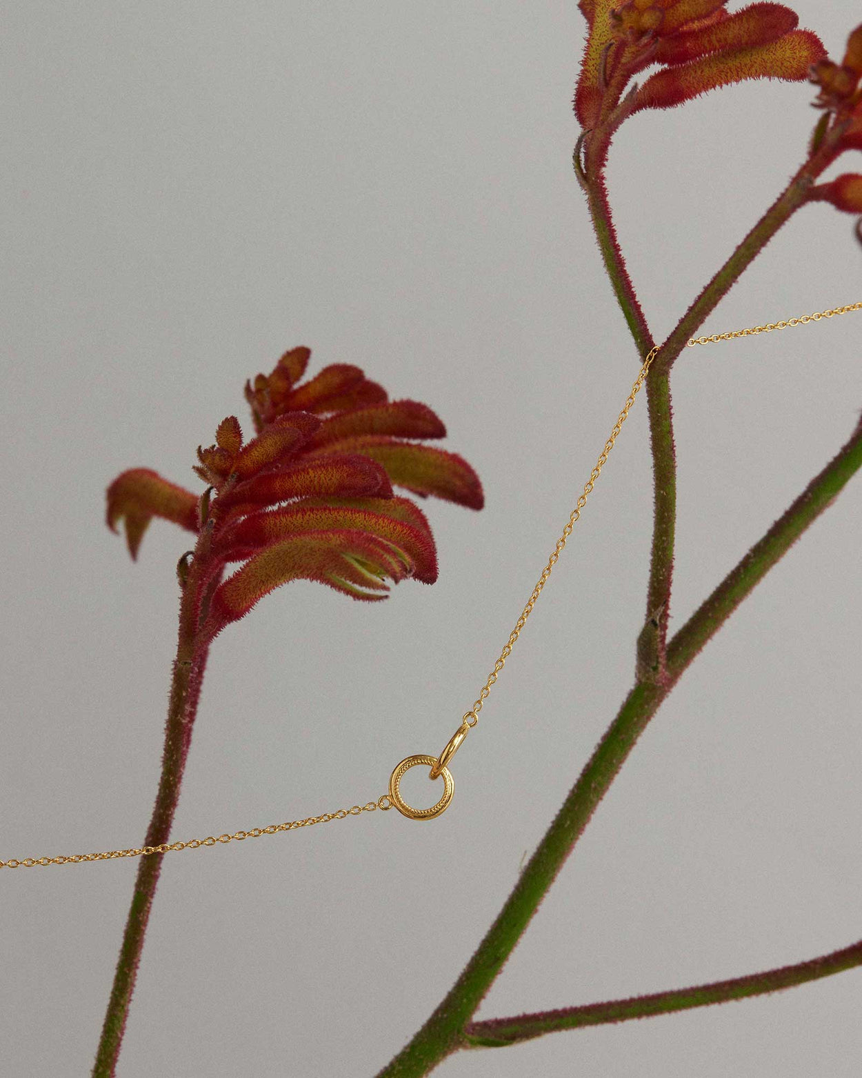 GRACE INFINITY NECKLACE (18K GOLD VERMEIL)