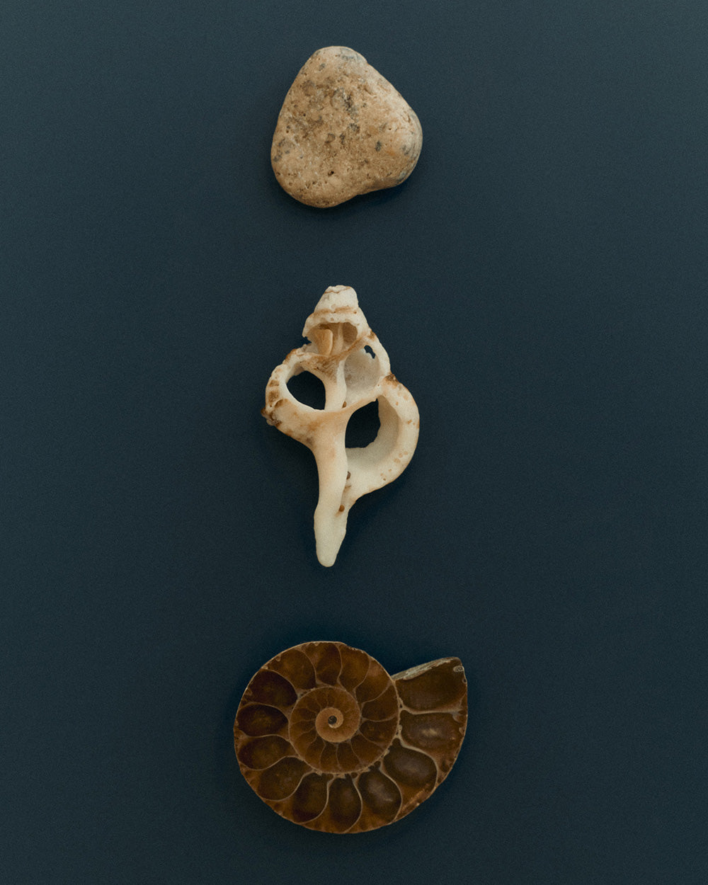 PLACE PENDANT NECKLACE (STERLING SILVER) IMAGE 5