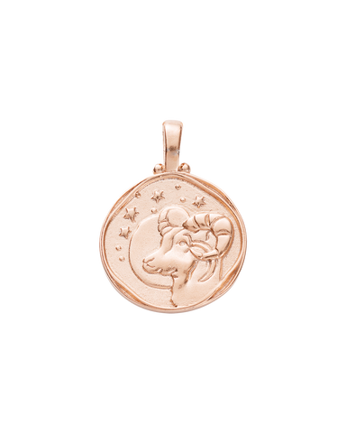 Rose Gold Charms