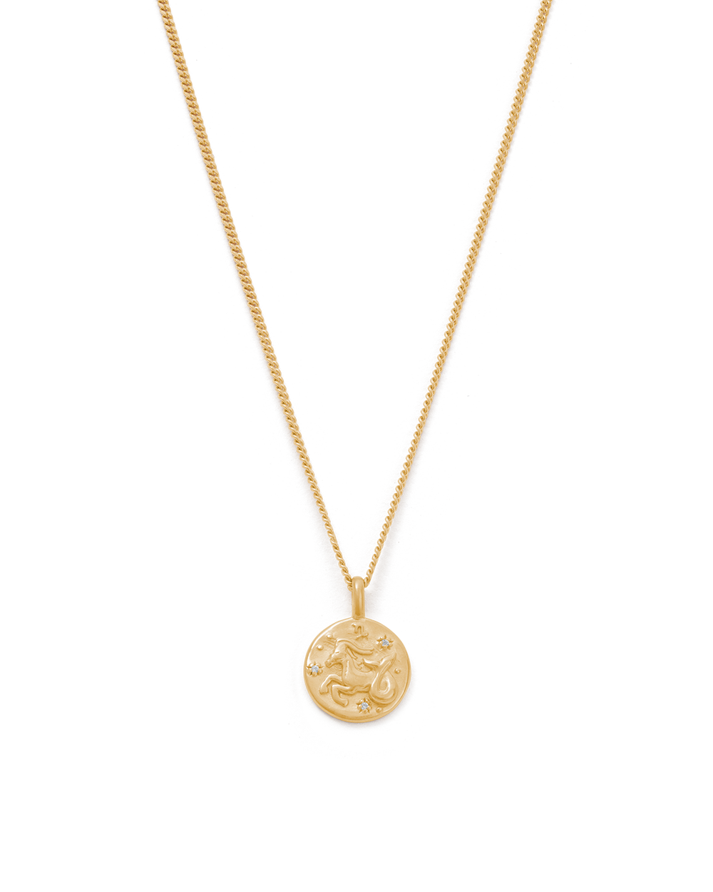 CAPRICORN PETITE ZODIAC NECKLACE (18K GOLD VERMEIL)