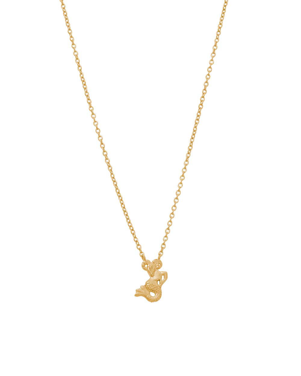 STAR SIGN NECKLACE (18K GOLD VERMEIL)