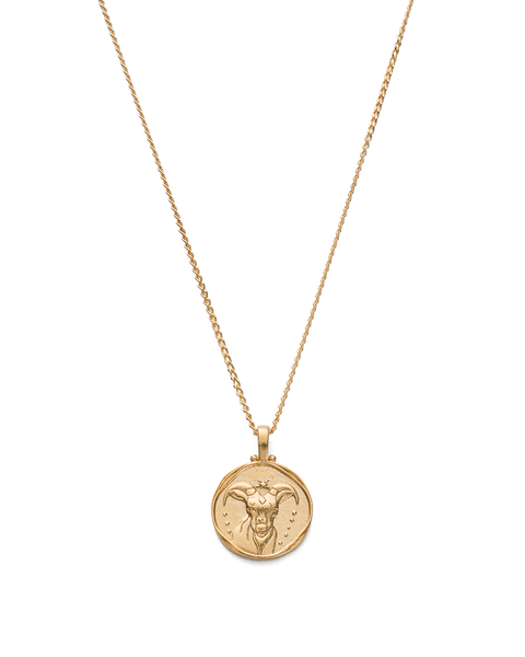 Amazon.com: 14k White Gold Capricorn Necklace Zodiac Pendant Star Sign  Birthdays 22nd December to 19th January Jewelry Inscribed in 24k Gold on  Black Onyx Gemstone, 18