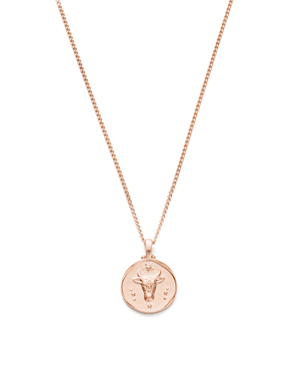 14k Gold Taurus Sign Necklace | Zodiac Jewelry | mazi + zo